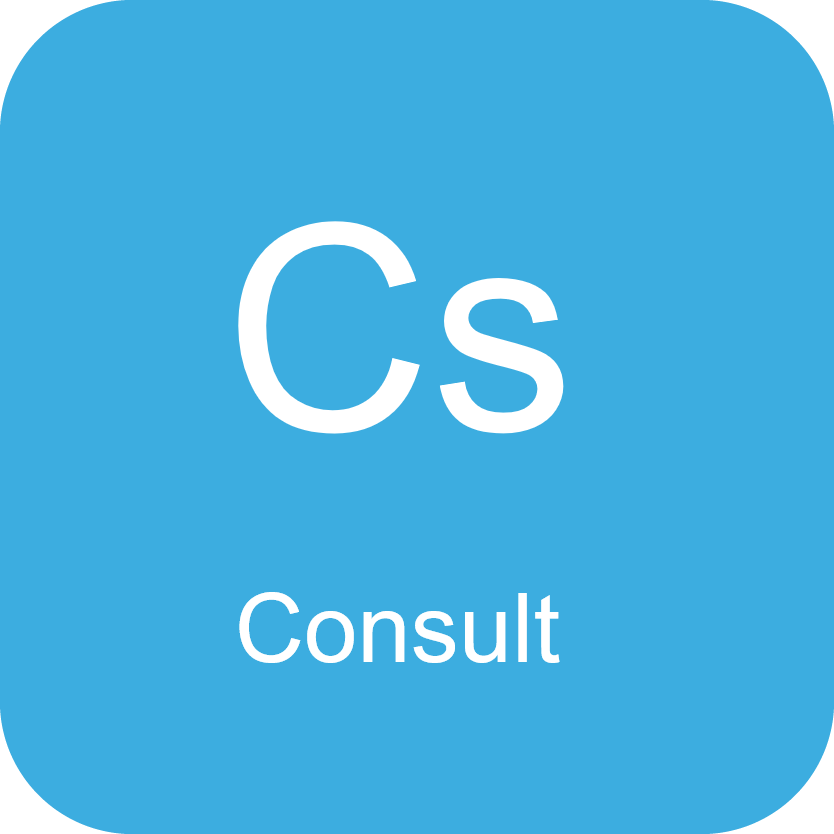 Consulting Services