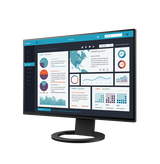 Eizo FlexScan EV2495 - Standard Display