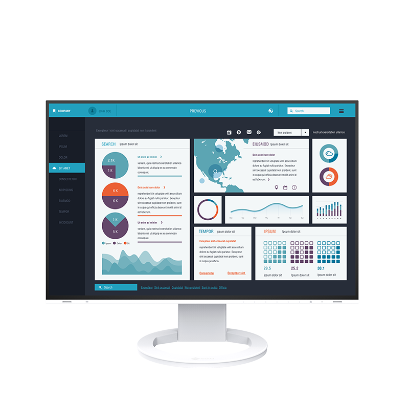 Eizo FlexScan EV2495 - Standard Display